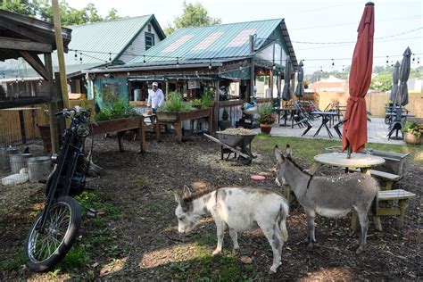 The Bush Farmhouse restaurant in Black Mountain has a mini .